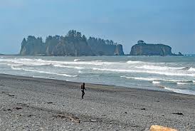 Sand dollar beach in monterey has it all. 13 Best Beaches In Washington State Planetware