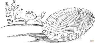 In coloringcrew.com find hundreds of coloring pages of clams and online coloring pages for free. Pin On Dibujos