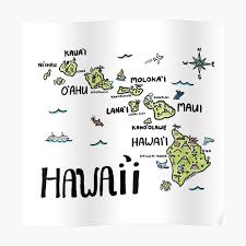 Field interpretation of active volcanoes. Hawaii Illustrierte Karte Schwarz Und Weiss Poster Von Clairelordon Redbubble