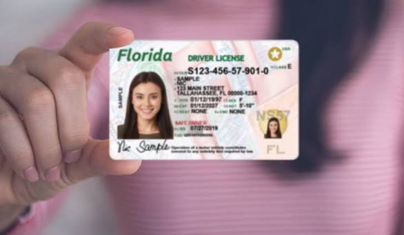 Once a college rite, underage students caught with fake IDs face thousands  in legal fees | WLRN