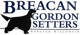Gordon setters are eager, alert, and confident dogs that thrive on companionship. Breacan Gordon Setters Breacan Gordon Setters