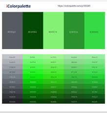 Soft green wood siding along with grey stone make up the exterior of this home. 7 Latest Color Schemes With Slate Gray And Lime Green Color Tone Combinations 2021 Icolorpalette