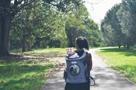 The lightest pack might not be the best choice though since you also need an internal frame. Cat Backpacks For Adventuring With Your Cat Catexplorer