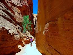 In the confined spaces of buckskin gulch, these sudden floods may descend upon hikers with water as deep as 100 ft (30.5 m) in a matter of seconds. Raven Chickadee A Spectacular Hike In Buckskin Gulch