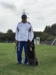 Quand Chiens Et Maitres Concourent Au Niveau Mondial