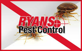 Get directions, reviews and information for bed bug exterminator indianapolis in indianapolis, in. Bed Bug Pest Control