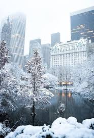 Snow Covered Central Park In Nyc New York City Manhattan Central Park After A Winter Blizzard Snow St New York Christmas New York City Manhattan New York Snow Free for commercial use no attribution required high quality images. snow covered central park in nyc new
