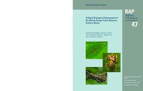 Image result for Orthopichonia schweinfurthii