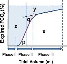 Apr 24, 2014 · the physiologic dead space (bohr method) calculator computes the volume of dead space (v d) based on the tidal volume (v t) and the partial pressures of carbon dioxide in arterial blood, exhaled air and ambient air. Volumetric Capnography Lessons From The Past And Current Clinical Applications Critical Care Full Text