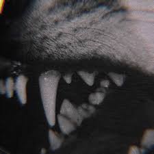 Pin By Busra On Shoot Her And She Ll Be Okay In 2020 Werewolf Aesthetic The Wolf Among Us Dark Aesthetic