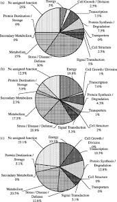Pie Charts Showing Percentage Of Endosperm Bran Fraction