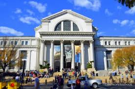 The Smithsonian National Museum Of Natural History The World Is A Book Smithsonian Smithsonian Museum Washington Dc National Museum