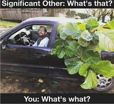 Pin By Kate Sine On Garden Sayings Plant Jokes Gardening Memes Gardening Humor