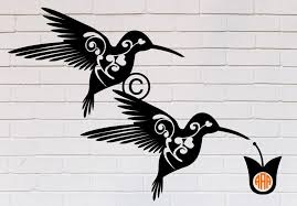 Download Pin On Colibri