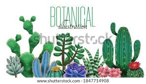 The cactus community on reddit. Shutterstock Puzzlepix