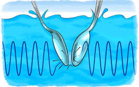 What happens to sound as it travels? What Do You Hear Underwater Scientific American