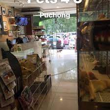 Oceanic aquatic sdn bhd is no stranger to most puchong folks who regularly shop for pet fishes and other aquatic products. Pets 4 U Pet Stores 50 Jalan Puteri 5 1 Puchong Selangor Malaysia Phone Number