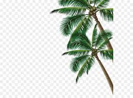 Palm Tree Background Png Download 633 657 Free Transparent Summer Png Download Cleanpng Kisspng