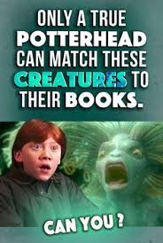 Pin On Harry Potter