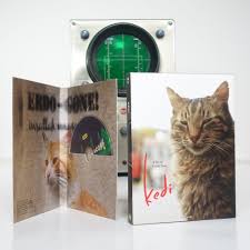 Kedi Oscilloscope Laboratories