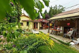 Sie wohnen hier im kreis maramureş. Pensiune Agnes Picture Of Pensiunea Agnes Viseu De Sus Tripadvisor