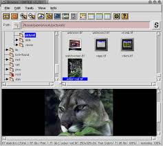 Best photo viewer, image resizer & batch converter for windows. Xnview For Linux Fileforum