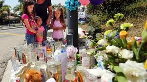 San Bernardino shooting: US Navy veteran kills wife at ...