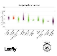What Is Caryophyllene And What Does This Cannabis Terpene Do