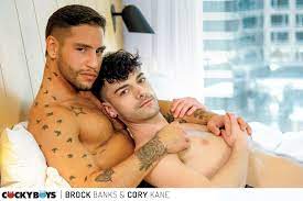 Gay Porn Star Brock Banks Went To Canada, And You'll Never Guess What  Happened Next | STR8UPGAYPORN