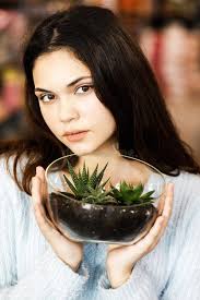 Bonito Terrario Con Una Suculenta Flor De Cactus Imagen de archivo