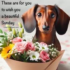 I love - Happy Sunday | Facebook