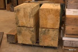 wood cag lumber road trip mysaw mysaw