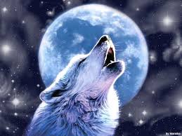 New wallpaper iphone wolf wallpaper animal wallpaper galaxy wolf wolf poster wolf canvas galaxy theme fantasy wolf cool wallpapers for phones. Pink Wolf Wallpapers Top Free Pink Wolf Backgrounds Wallpaperaccess