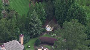 There's a large mansion and a smaller. Photos R Kelly Johns Creek Home 11alive Com
