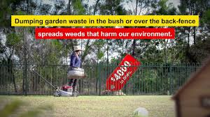 We did not find results for: Report Illegal Dumping On Line