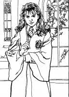 Harry Potter E La Camera Dei Segreti Disegni Da Colorare Harry Potter Hermione Disegni Per Bambini Harry Potter Disegni Da Colorare Immagini Di Harry Potter