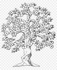 Drawing trees is the first art for any amateur artist due to it's simplicity. Tree Big Old Wood Plant Png Image Drawings Of Trees With Flowers Clipart 2416105 Pikpng