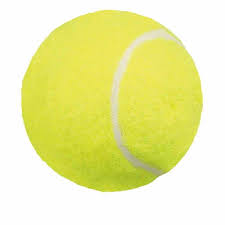 Résultat de recherche d'images pour "balle  de tennis chien"