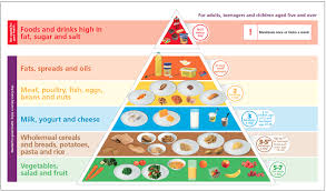 The first pyramid was published in sweden in 1974. The New Food Pyramid Why Official Dietary Recommendations Differ From Current Nutritional Knowledge Iinh