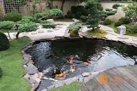Kami siap melayani kamu dengan sepenuh hati. Jasa Pembuatan Kolam Ikan Hias Koi Minimalis Bekasi Jualo