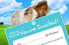 The best mobile petting zoo sydney experience for kids! Farm Friends Mobile Petting Zoo