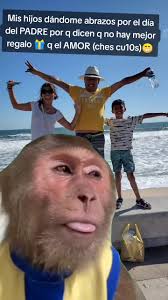 alberto malacara (@albertomal0)