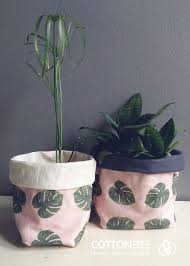 Carefully selected for their beauty and freshness. Monstera Leaves The Most Fashionable Flower In Years