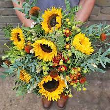 We did not find results for: Win A Giftcard For All Season Flowers Lucan Shopping Centre