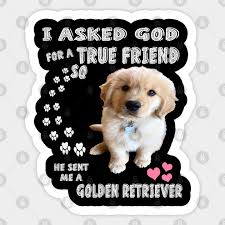 Read more about our adoption process and application. Golden Retriever Gifts Golden Retriever Lovers Cute Golden Retriever Golden Retriever Pegatina Teepublic Mx