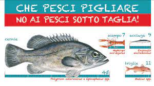Spesso nelle pescherie si trova. Ecocucina Zuppa Di Pesce Antispreco In Pentola A Pressione Ecocucina Blog Repubblica It
