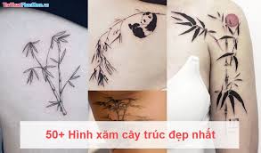 Check spelling or type a new query. 50 Hinh XÄƒm Cay Truc Ä'áº¹p Nháº¥t