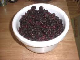 Also, is it ok to eat fruits with worms? Blackberries Blackberry Facts And Picking Tips