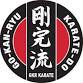 GKR Karate – Sunday morning event image