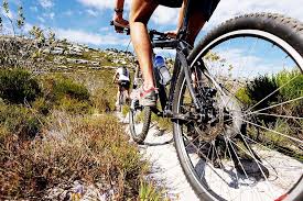 Top 5 Mtb Gardasee Das Mountainbike Revier Gardasee Die Funf Besten Touren Gardasee Touren Reisen